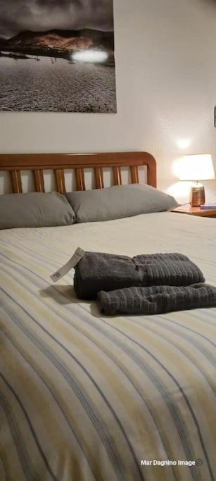 Apartamento Turistico Saragozza Esterno foto