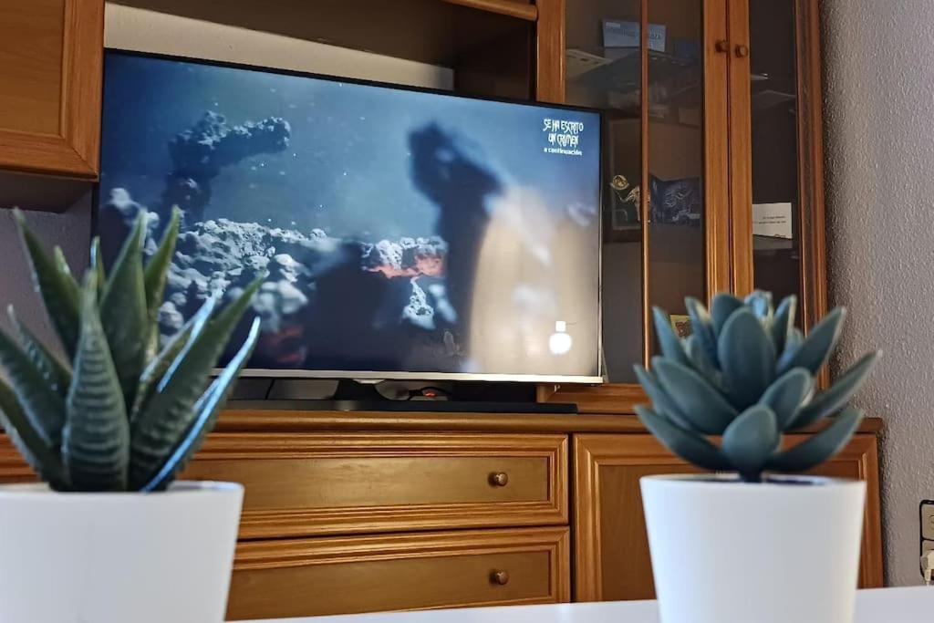 Apartamento Turistico Saragozza Esterno foto