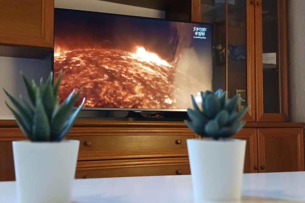 Apartamento Turistico Saragozza Esterno foto